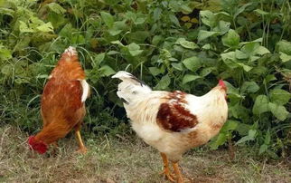 秦淮河发源地探秘与周边小众景点自驾攻略